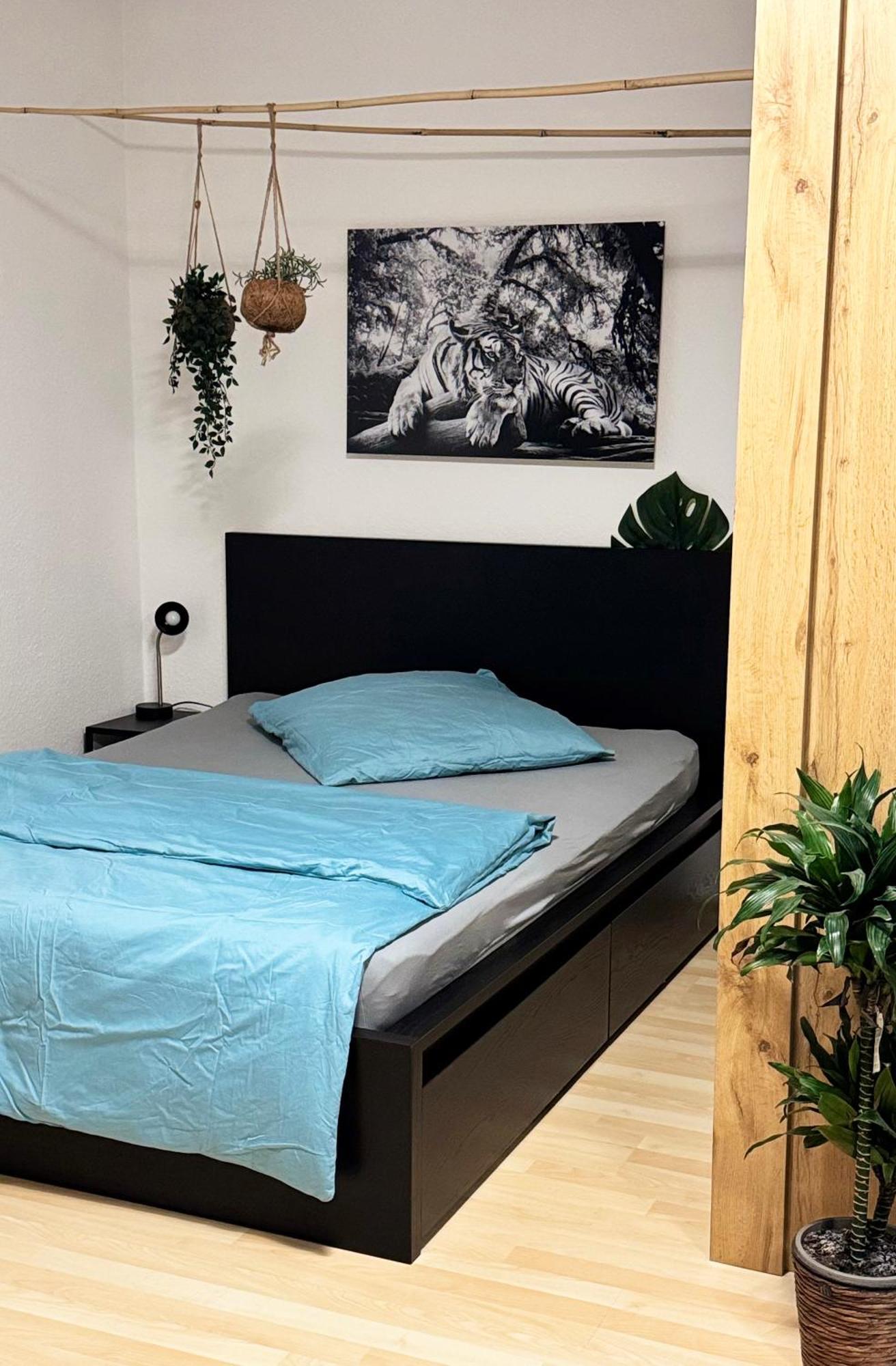 Zentrumnah Inklusive Parkplatz Jungle-Suite By Rentigo - Ruheoase Im Herzen Von Saarbruecken! Экстерьер фото